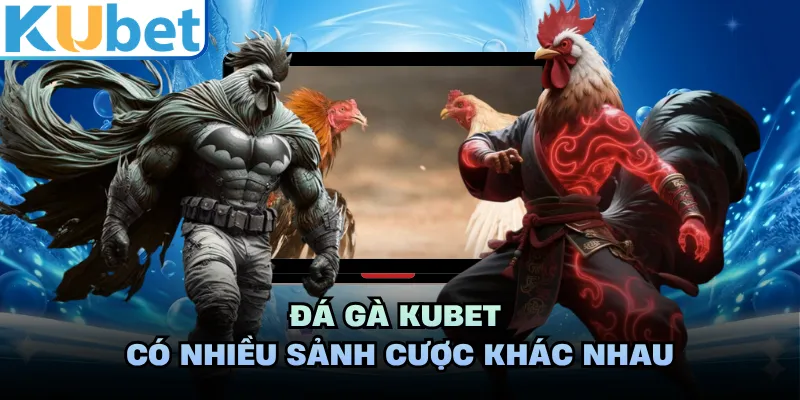 Đá gà KUBET có nhiều sảnh cược khác nhau